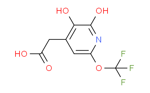 2,3-Dihydroxy-6-(trifluoromethoxy)pyridine-4-acetic acid