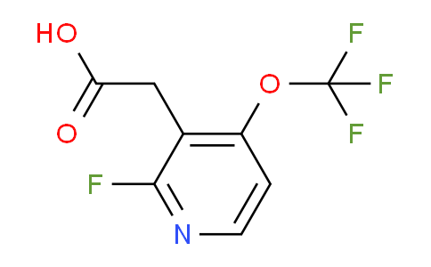 AM199746 | 1803917-38-5 | 2-Fluoro-4-(trifluoromethoxy)pyridine-3-acetic acid
