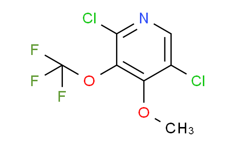 2,5-Dichloro-4-methoxy-3-(trifluoromethoxy)pyridine