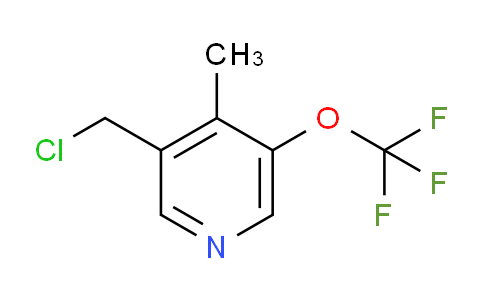 AM201102 | 1804545-50-3 | 3-(Chloromethyl)-4-methyl-5-(trifluoromethoxy)pyridine