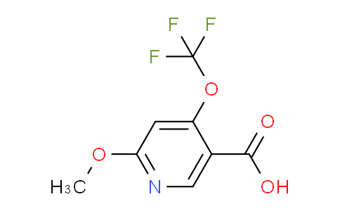 2-Methoxy-4-(trifluoromethoxy)pyridine-5-carboxylic acid