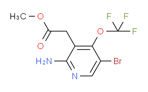 AM21656 | 1803446-69-6 | Methyl 2-amino-5-bromo-4-(trifluoromethoxy)pyridine-3-acetate