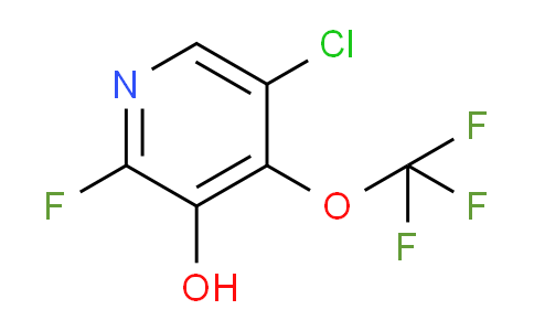 AM216586 | 1804545-86-5 | 5-Chloro-2-fluoro-3-hydroxy-4-(trifluoromethoxy)pyridine