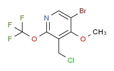 AM217473 | 1804565-75-0 | 5-Bromo-3-(chloromethyl)-4-methoxy-2-(trifluoromethoxy)pyridine