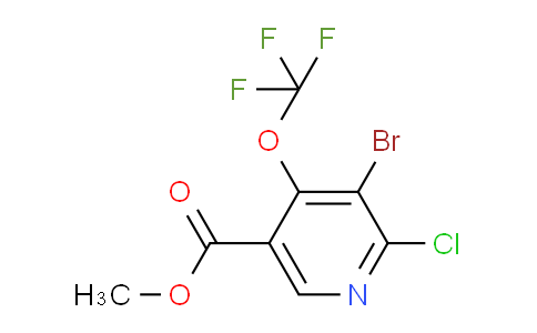AM218155 | 1804634-43-2 | Methyl 3-bromo-2-chloro-4-(trifluoromethoxy)pyridine-5-carboxylate