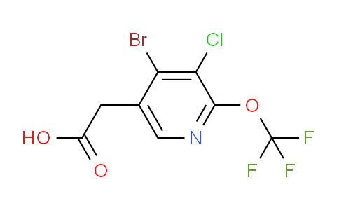 AM218248 | 1803617-51-7 | 4-Bromo-3-chloro-2-(trifluoromethoxy)pyridine-5-acetic acid
