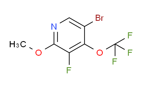 AM218319 | 1803987-52-1 | 5-Bromo-3-fluoro-2-methoxy-4-(trifluoromethoxy)pyridine