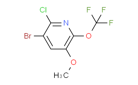 AM218346 | 1806171-77-6 | 3-Bromo-2-chloro-5-methoxy-6-(trifluoromethoxy)pyridine
