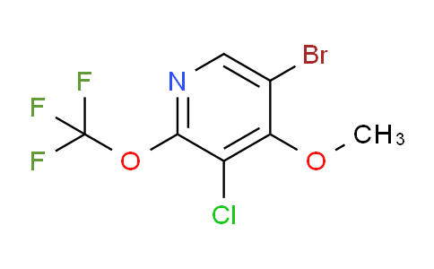 AM218348 | 1804597-48-5 | 5-Bromo-3-chloro-4-methoxy-2-(trifluoromethoxy)pyridine