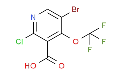 AM218529 | 1806216-65-8 | 5-Bromo-2-chloro-4-(trifluoromethoxy)pyridine-3-carboxylic acid