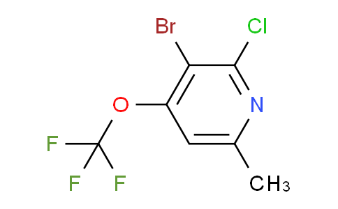 AM218567 | 1803662-99-8 | 3-Bromo-2-chloro-6-methyl-4-(trifluoromethoxy)pyridine