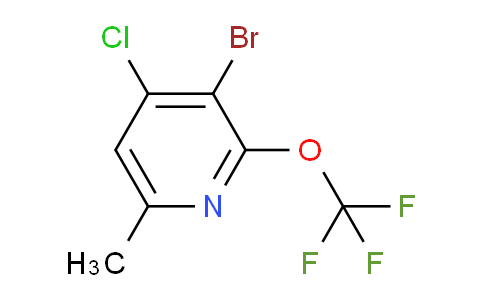 AM218569 | 1804580-28-6 | 3-Bromo-4-chloro-6-methyl-2-(trifluoromethoxy)pyridine