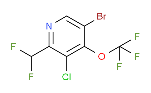 AM218570 | 1803994-99-1 | 5-Bromo-3-chloro-2-(difluoromethyl)-4-(trifluoromethoxy)pyridine