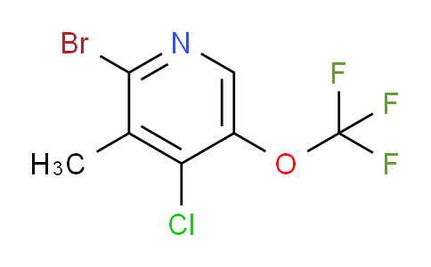 AM218613 | 1803619-38-6 | 2-Bromo-4-chloro-3-methyl-5-(trifluoromethoxy)pyridine