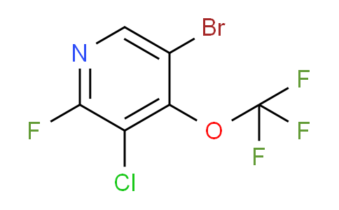 AM218631 | 1806002-68-5 | 5-Bromo-3-chloro-2-fluoro-4-(trifluoromethoxy)pyridine