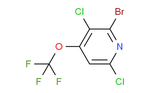 AM219875 | 1803929-29-4 | 2-Bromo-3,6-dichloro-4-(trifluoromethoxy)pyridine