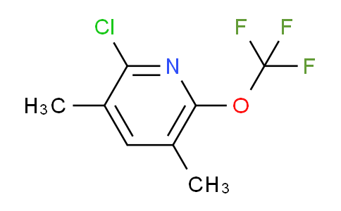 2-Chloro-3,5-dimethyl-6-(trifluoromethoxy)pyridine