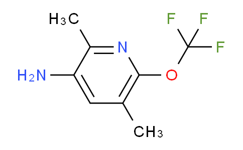 AM219914 | 1804374-84-2 | 3-Amino-2,5-dimethyl-6-(trifluoromethoxy)pyridine