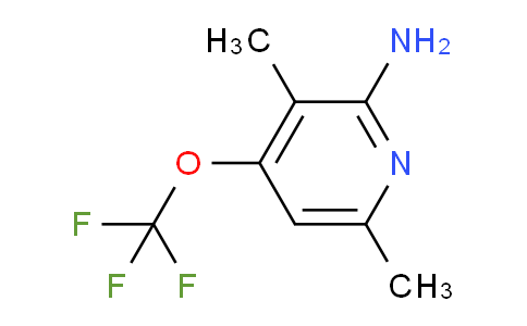 2-Amino-3,6-dimethyl-4-(trifluoromethoxy)pyridine