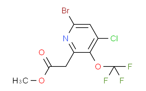 AM22287 | 1803617-65-3 | Methyl 6-bromo-4-chloro-3-(trifluoromethoxy)pyridine-2-acetate