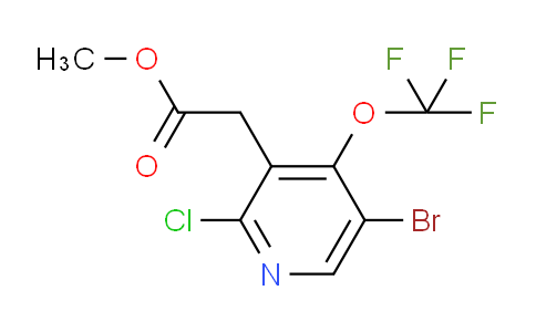 Methyl 5-bromo-2-chloro-4-(trifluoromethoxy)pyridine-3-acetate