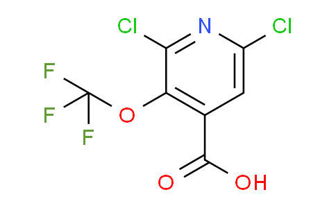 AM228944 | 1804301-42-5 | 2,6-Dichloro-3-(trifluoromethoxy)pyridine-4-carboxylic acid