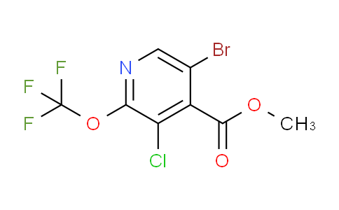 AM229191 | 1804634-57-8 | Methyl 5-bromo-3-chloro-2-(trifluoromethoxy)pyridine-4-carboxylate