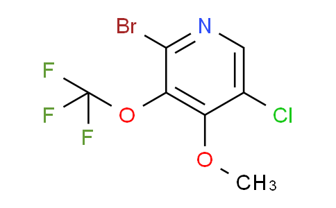 AM229303 | 1806106-22-8 | 2-Bromo-5-chloro-4-methoxy-3-(trifluoromethoxy)pyridine
