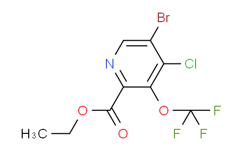 AM229366 | 1806110-81-5 | Ethyl 5-bromo-4-chloro-3-(trifluoromethoxy)pyridine-2-carboxylate