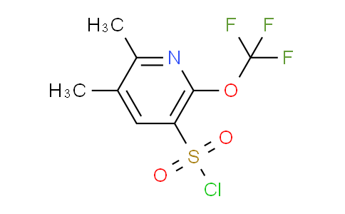 AM229820 | 1803433-42-2 | 2,3-Dimethyl-6-(trifluoromethoxy)pyridine-5-sulfonyl chloride