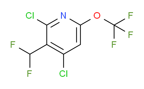 AM230206 | 1804561-73-6 | 2,4-Dichloro-3-(difluoromethyl)-6-(trifluoromethoxy)pyridine