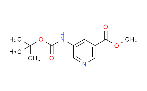 AM231300 | 168618-38-0 | Methyl 5-(tert-butoxycarbonylamino)nicotinate