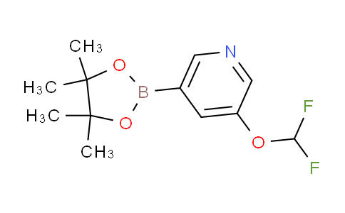 AM231710 | 1257554-65-6 | 3-(Difluoromethoxy)-5-(4,4,5,5-tetramethyl-1,3,2-dioxaborolan-2-yl)pyridine