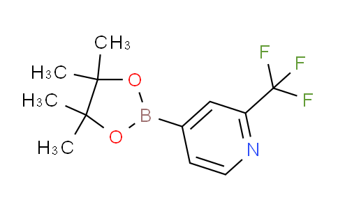 AM231782 | 1036990-42-7 | 4-(4,4,5,5-Tetramethyl-1,3,2-dioxaborolan-2-yl)-2-(trifluoromethyl)pyridine