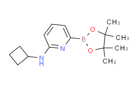 AM232003 | 1315350-34-5 | N-Cyclobutyl-6-(4,4,5,5-tetramethyl-1,3,2-dioxaborolan-2-yl)pyridin-2-amine