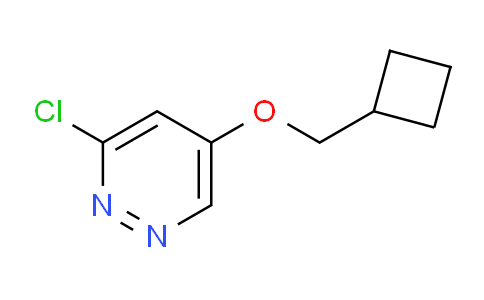AM232697 | 1346691-29-9 | 3-Chloro-5-(cyclobutylmethoxy)pyridazine