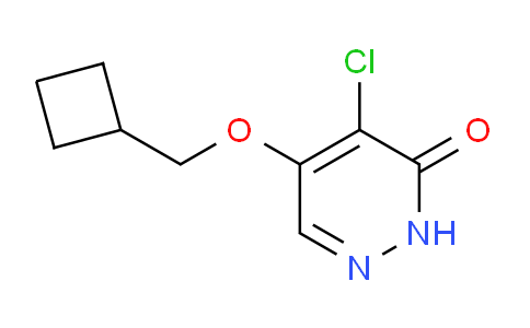 AM233016 | 1346697-59-3 | 4-Chloro-5-(cyclobutylmethoxy)pyridazin-3(2H)-one