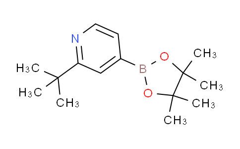 AM233819 | 1627722-65-9 | 2-(tert-Butyl)-4-(4,4,5,5-tetramethyl-1,3,2-dioxaborolan-2-yl)pyridine