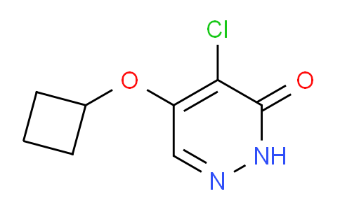 AM234227 | 1346697-55-9 | 4-Chloro-5-cyclobutoxypyridazin-3(2H)-one