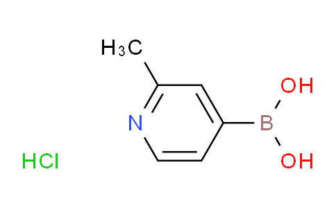 AM234996 | 861905-97-7 | (2-Methylpyridin-4-yl)boronic acid hydrochloride