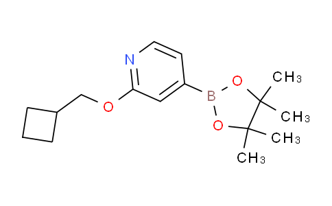 AM235140 | 1346708-00-6 | 2-(Cyclobutylmethoxy)-4-(4,4,5,5-tetramethyl-1,3,2-dioxaborolan-2-yl)pyridine