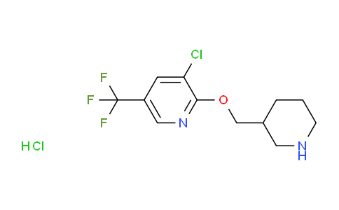 AM236405 | 1417793-17-9 | 3-Chloro-2-(piperidin-3-ylmethoxy)-5-(trifluoromethyl)pyridine hydrochloride