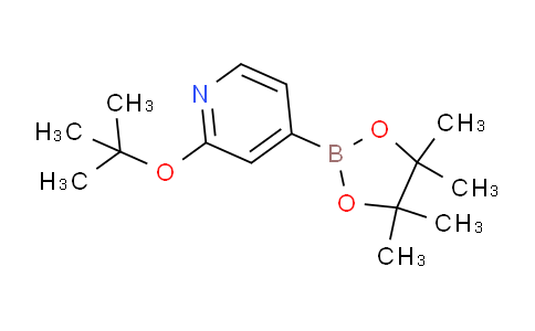 AM236447 | 1256358-89-0 | 2-(tert-Butoxy)-4-(4,4,5,5-tetramethyl-1,3,2-dioxaborolan-2-yl)pyridine