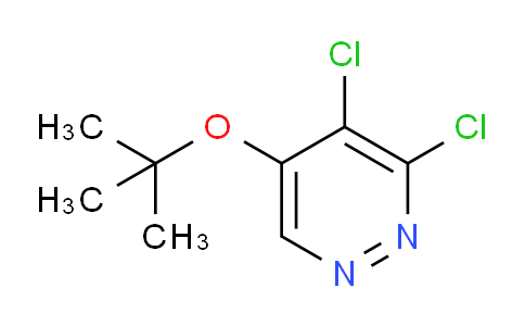AM236578 | 1346698-03-0 | 5-(tert-Butoxy)-3,4-dichloropyridazine