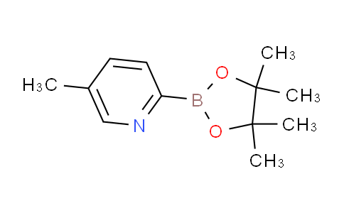 AM236781 | 1101205-22-4 | 5-Methyl-2-(4,4,5,5-tetramethyl-1,3,2-dioxaborolan-2-yl)pyridine
