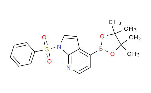 AM237173 | 942919-24-6 | 1-(Phenylsulfonyl)-4-(4,4,5,5-tetramethyl-1,3,2-dioxaborolan-2-yl)-1H-pyrrolo[2,3-b]pyridine