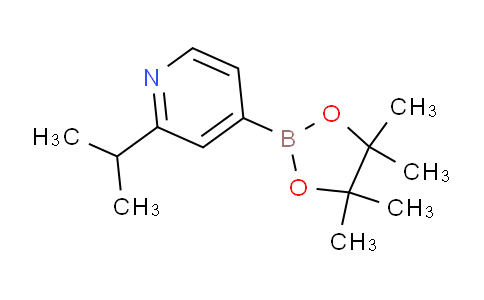 AM237389 | 1352796-58-7 | 2-Isopropyl-4-(4,4,5,5-tetramethyl-1,3,2-dioxaborolan-2-yl)pyridine