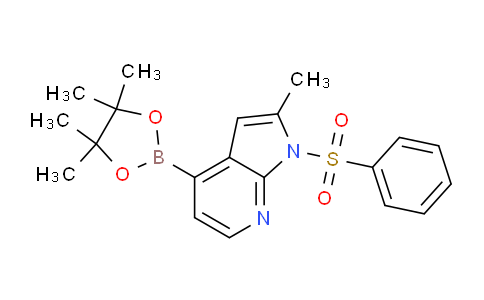 AM237462 | 1014613-31-0 | 2-Methyl-1-(phenylsulfonyl)-4-(4,4,5,5-tetramethyl-1,3,2-dioxaborolan-2-yl)-1H-pyrrolo[2,3-b]pyridine