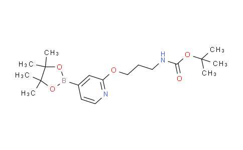 AM238016 | 1346697-31-1 | tert-Butyl (3-((4-(4,4,5,5-tetramethyl-1,3,2-dioxaborolan-2-yl)pyridin-2-yl)oxy)propyl)carbamate