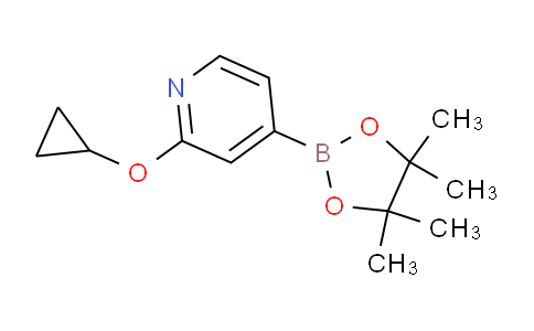 AM238471 | 1346707-95-6 | 2-Cyclopropoxy-4-(4,4,5,5-tetramethyl-1,3,2-dioxaborolan-2-yl)pyridine